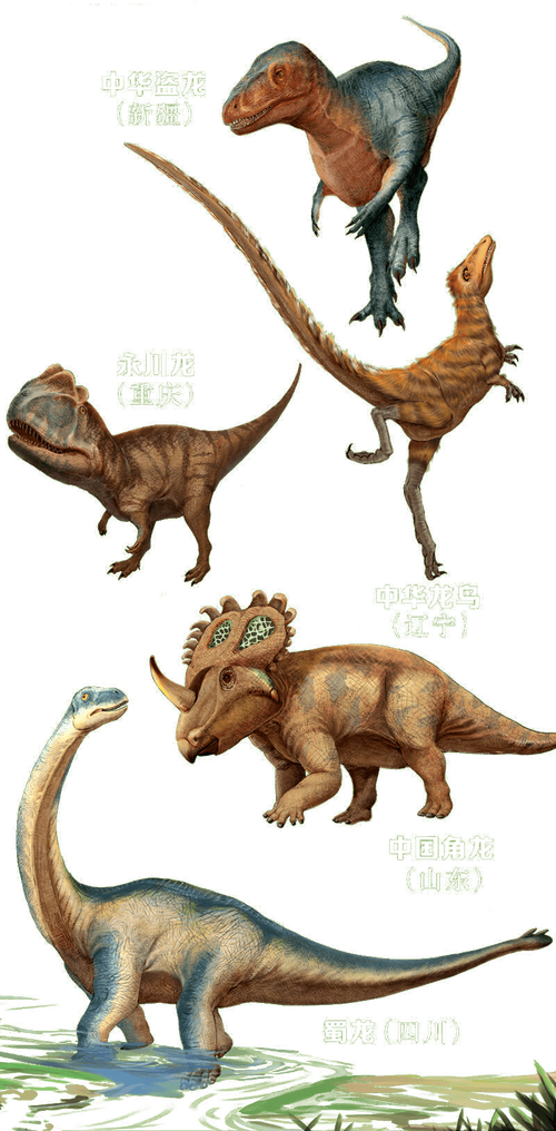中国63种恐龙