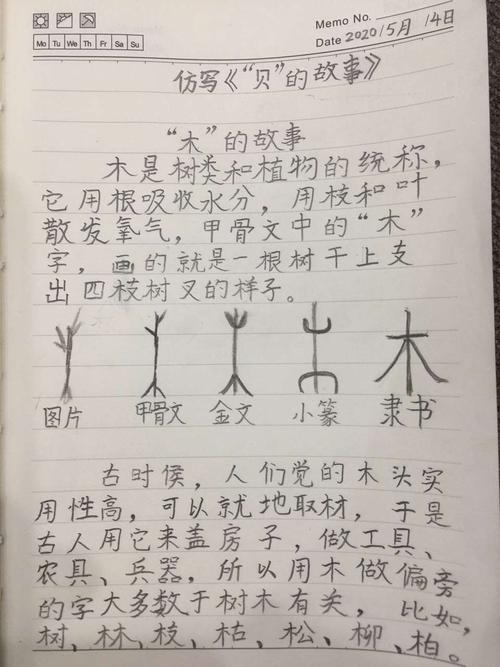 介绍一个汉字的故事100字