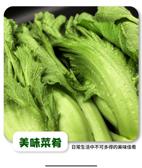 四川酸菜是什么菜叶