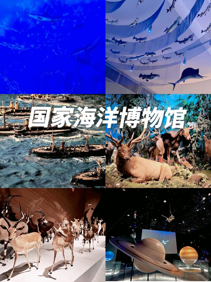 天津海洋馆博物馆
