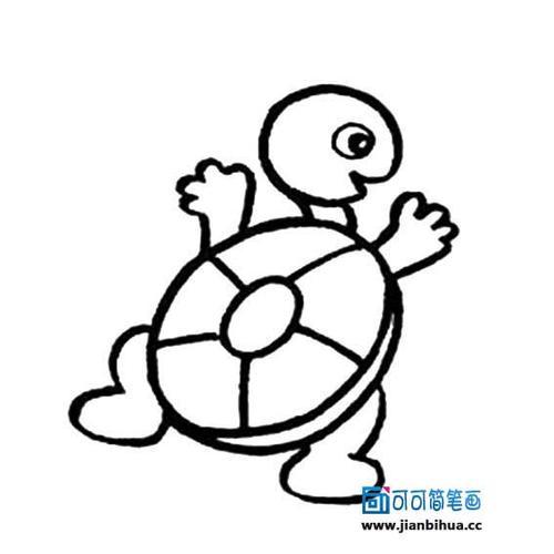 幼儿海龟简易画法图片