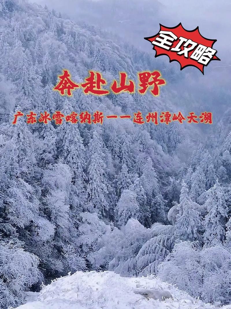 广东会下雪吗