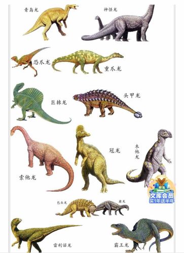 恐龙都有哪些名字