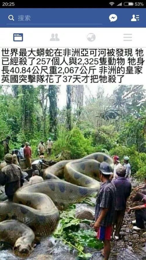 最大的蛇有多大多长