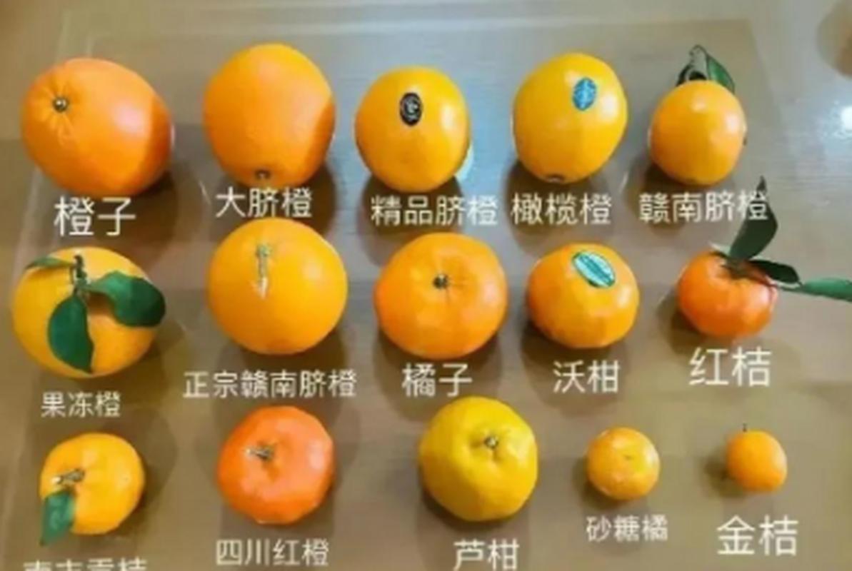 橘子的种类