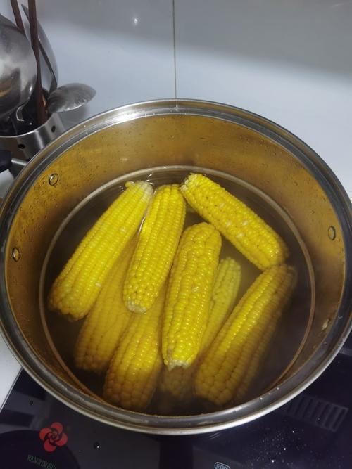 玉米煮多久能熟啊