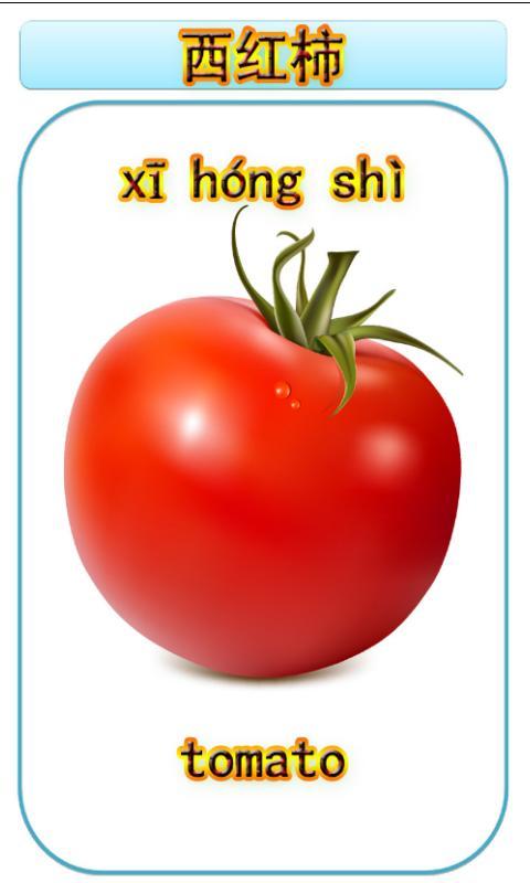番茄的英文怎么读音
