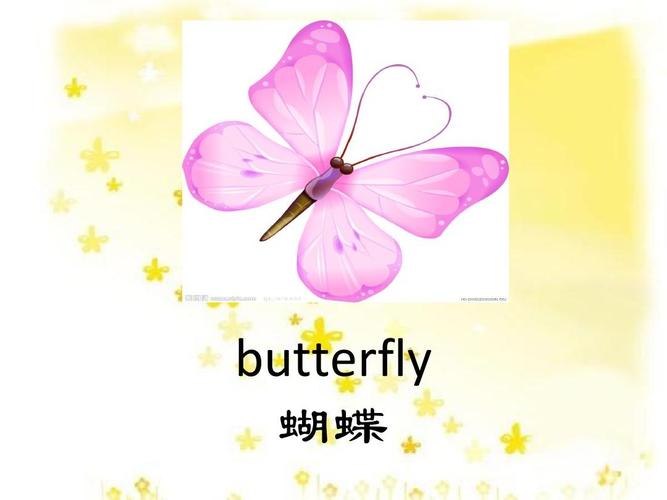 蝴蝶英语怎么读