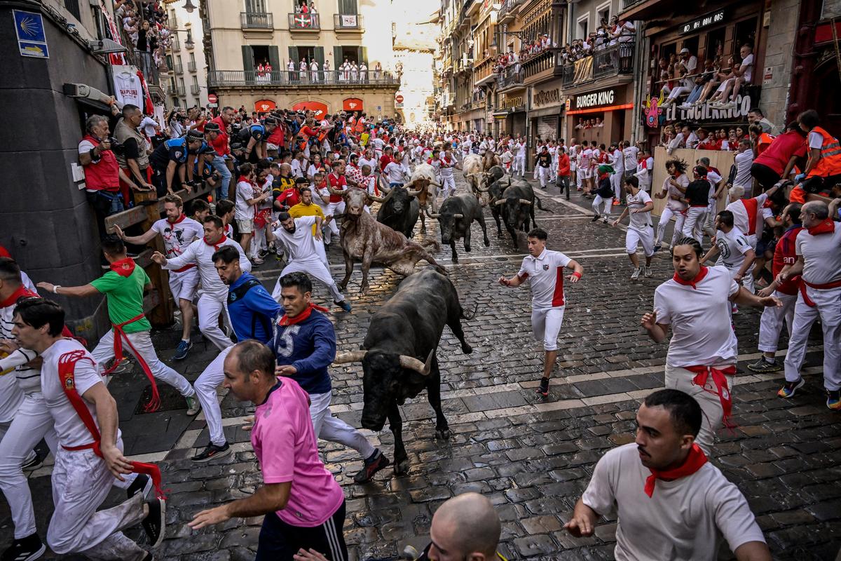 西班牙奔牛节