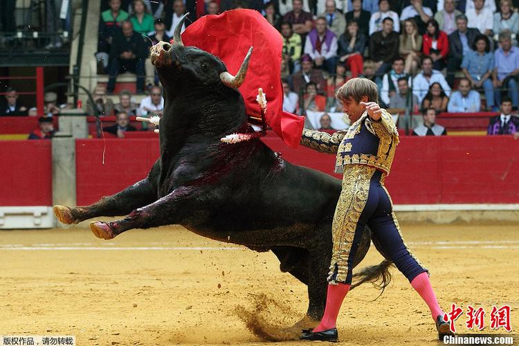 西班牙斗牛节在哪个城市