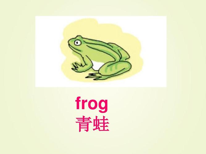 青蛙英语怎么读音