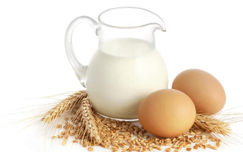 高钙牛奶和纯牛奶哪个蛋白质多