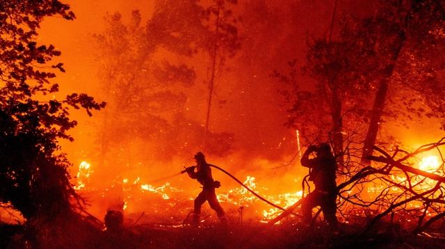 什么是森林火灾的相关图片