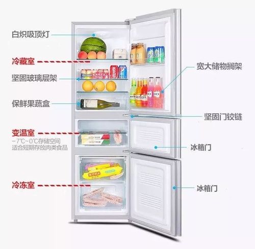 冷冻是冰箱哪一层的相关图片