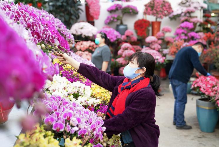 北京花卉市场的相关图片