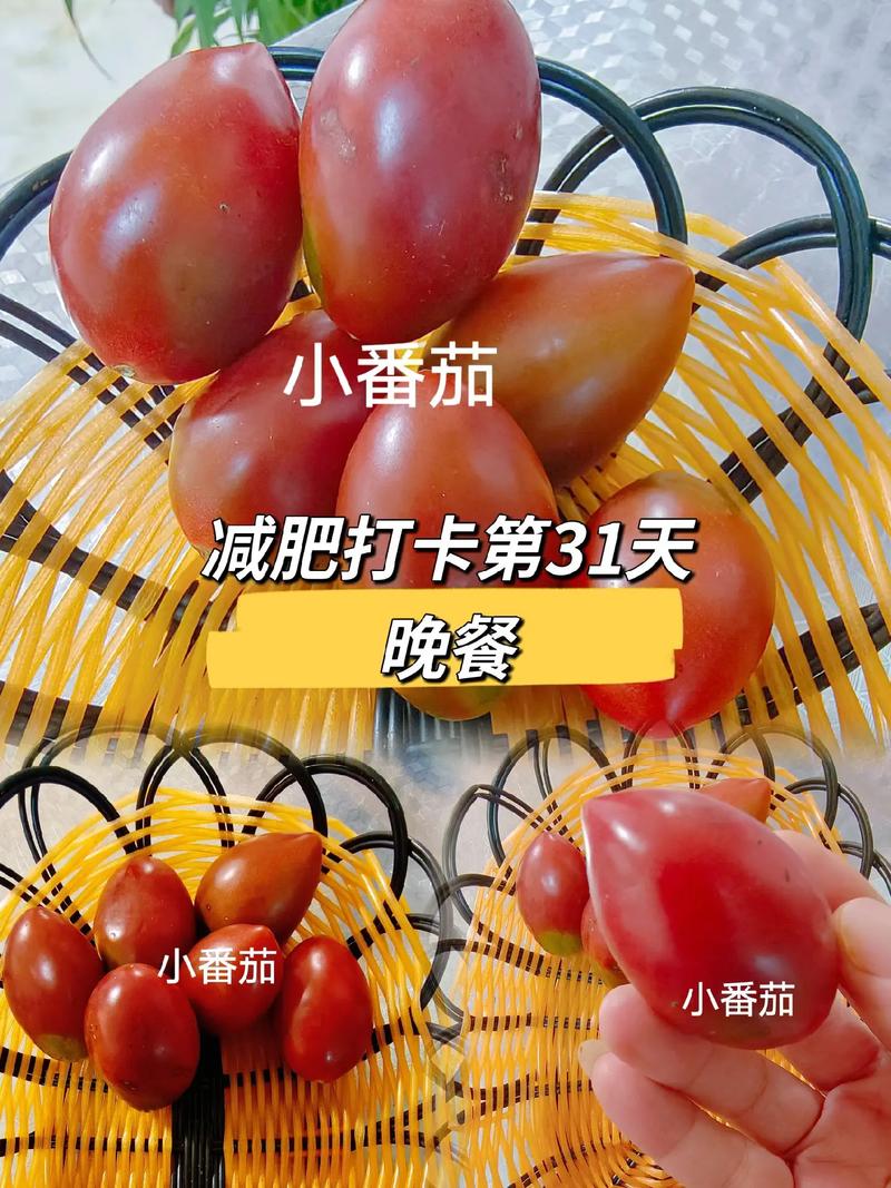 吃小番茄能减肥吗的相关图片