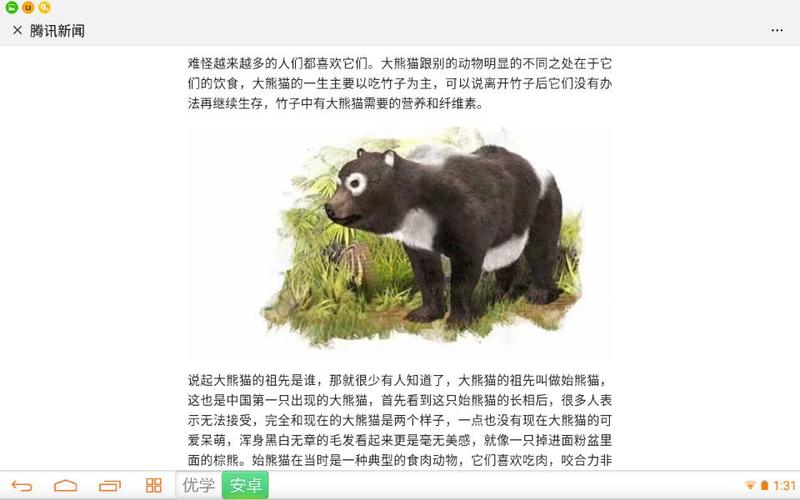 大熊猫的祖先是谁的相关图片