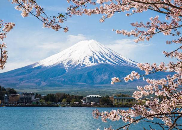 富士山是私人的吗的相关图片
