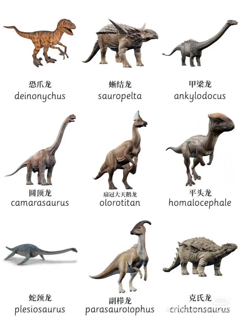 恐龙的英文的相关图片