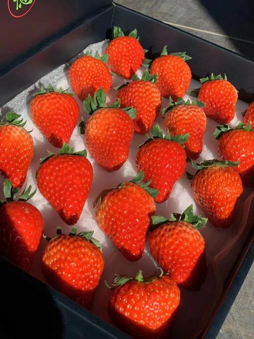 月经可以吃草莓吗的相关图片