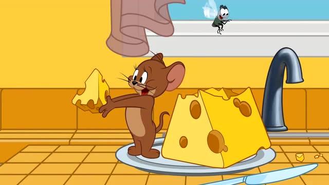 猫和老鼠抢奶酪的相关图片