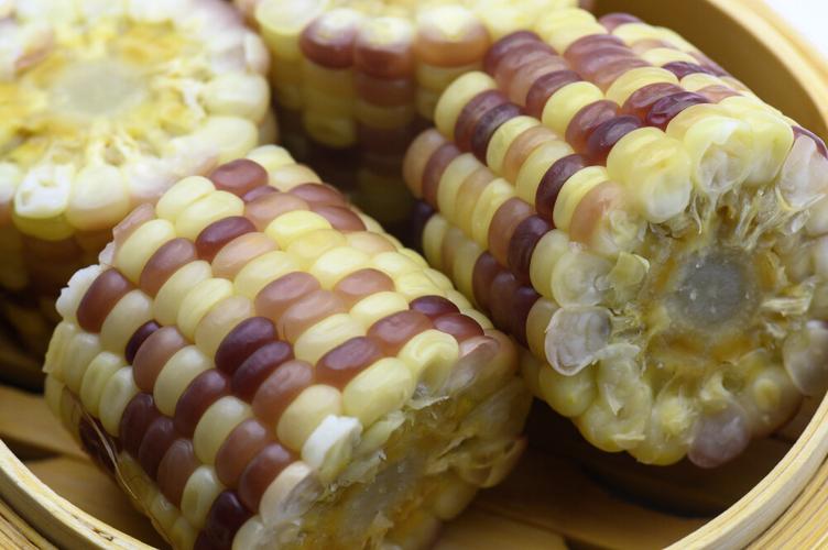 玉米代替主食会发胖吗的相关图片