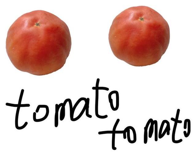 番茄的英文的相关图片