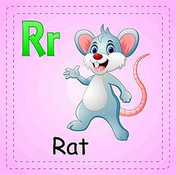 老鼠用英语怎么说的相关图片