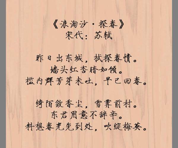 苏轼写过哪些诗的相关图片