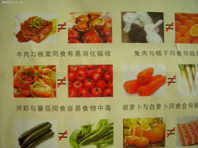 茄子不能和什么食物一起吃的相关图片