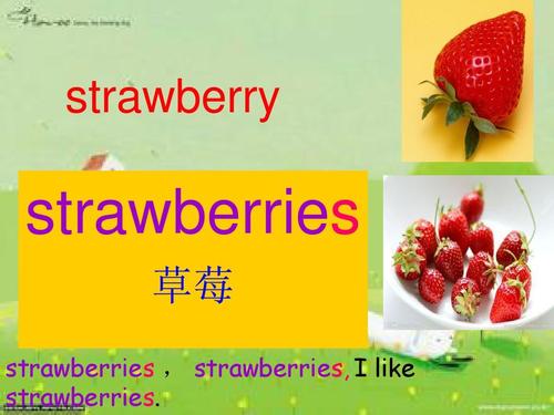 草莓的英文单词的相关图片