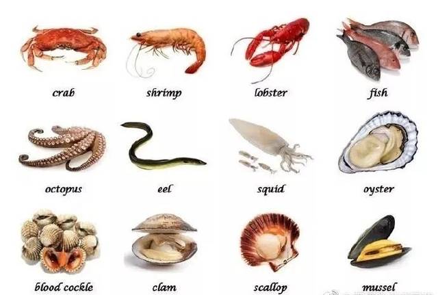 螃蟹英语怎么读的相关图片